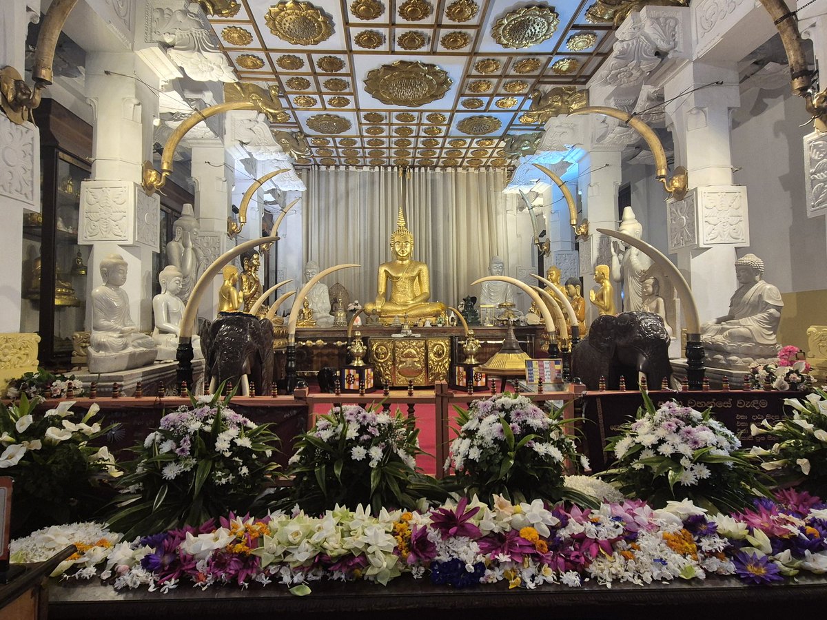 World Challenge at Bolton School Girls' Division tweet media