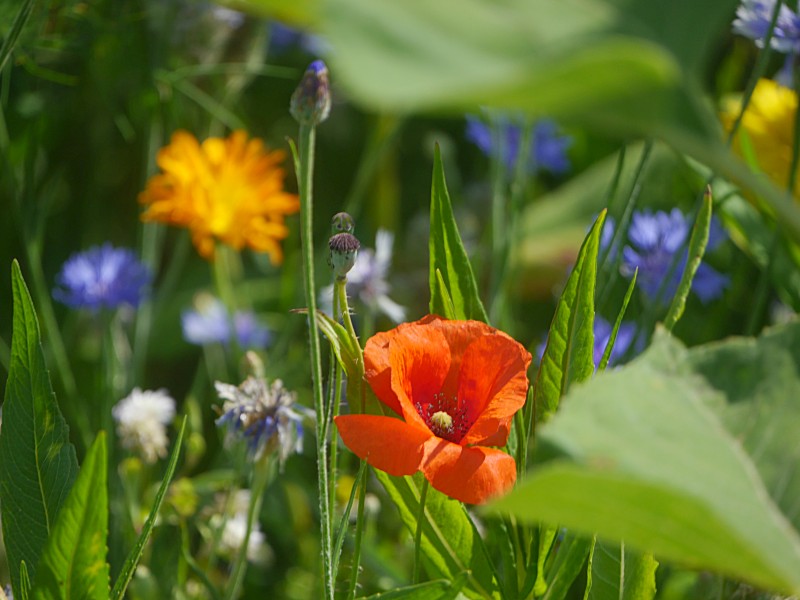 오늘은 서두르지 않아도 괜찮아. 네가 좋아하는 걸 하면서 천천히 하루를 시작해도 돼. 커피 한 잔 마시며 창밖의 구름 관찰, 호수로 가는 산책, 정리 정돈 또는 잠깐의 멍때림?
이번 주 잘 살았고, 오늘은 네 마음이 원하는 대로 살아도 괜찮아. (화창한 날 아침에 내가 나에게)

Guten Morgen!