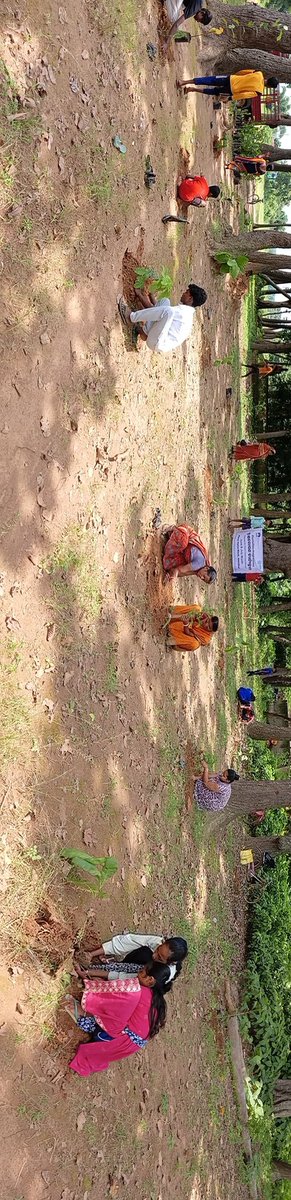 Green Patch Initiative 
Ecosavers Youth Network members, women,  come together to create a vibrant green patch by planting trees in Patna, Keonjhar. This  effort aims to protect the environment, restore biodiversity, and ensure a healthy, green legacy for future generations
