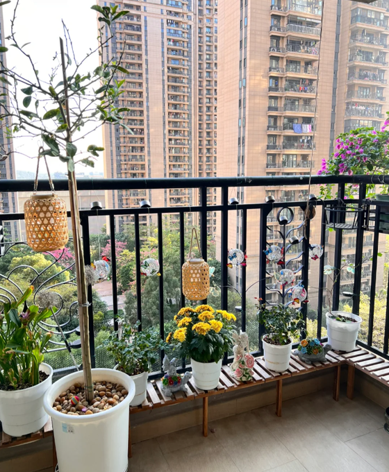闺蜜真是勤快养这些花花草草，养的这么好，虽然我也很喜欢这些，但记得以前养过，从来不会超过一个月就死了，能告诉我这是为什么吗🤣
