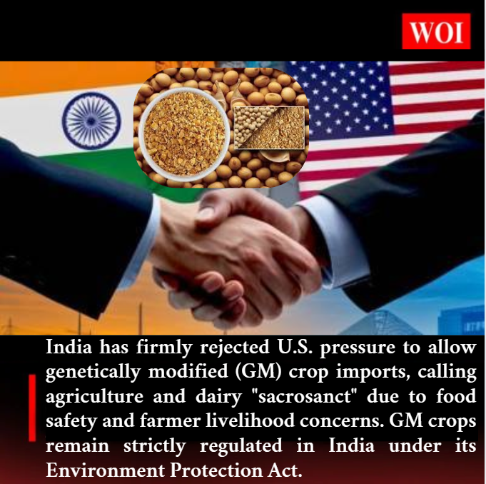 wordofindia's tweet image. India pushes back against US pressure to allow GM crop imports, citing risks to farmers and food safety.
#WordOfIndia #WOI #GeneticallyModifiedCrops #GMOCrops #IndiaAgriculture #FoodSecurity #TradeNegotiations #FarmersRights #Biosafety #IndianPolicy