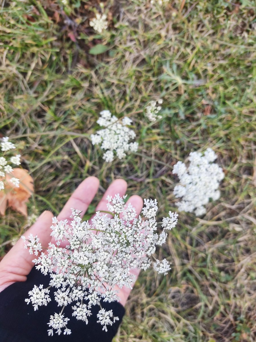 zarina✨ tweet media