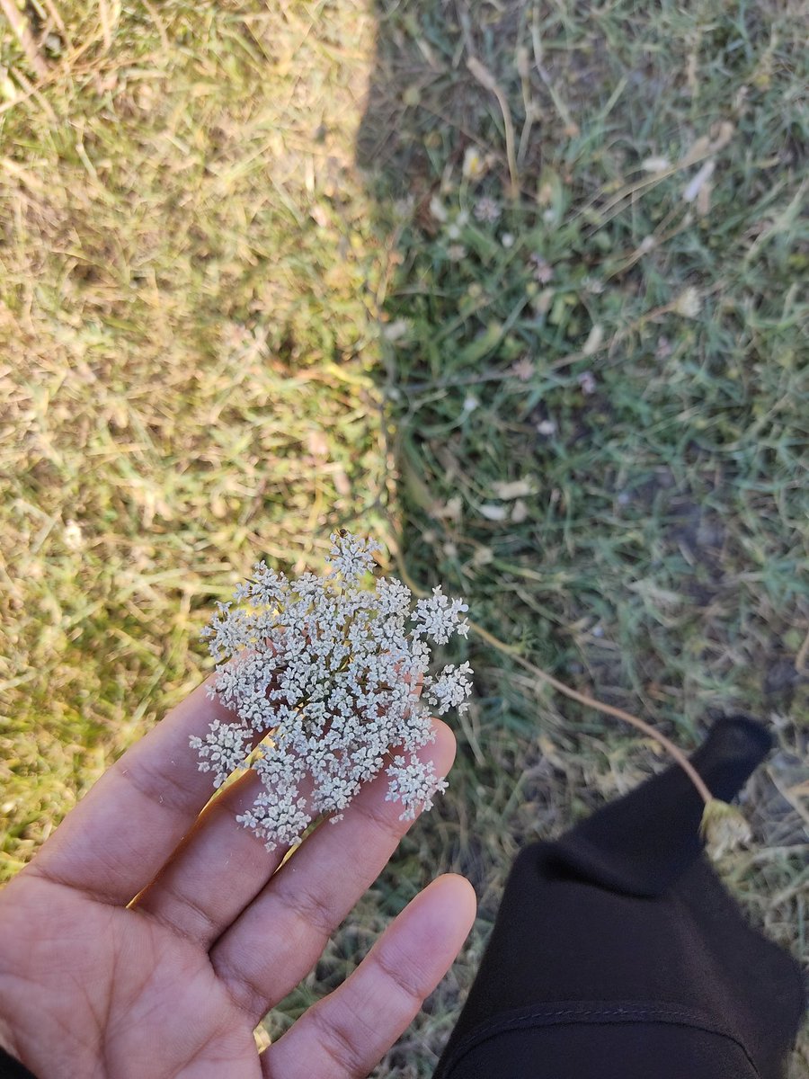 zarina✨ tweet media