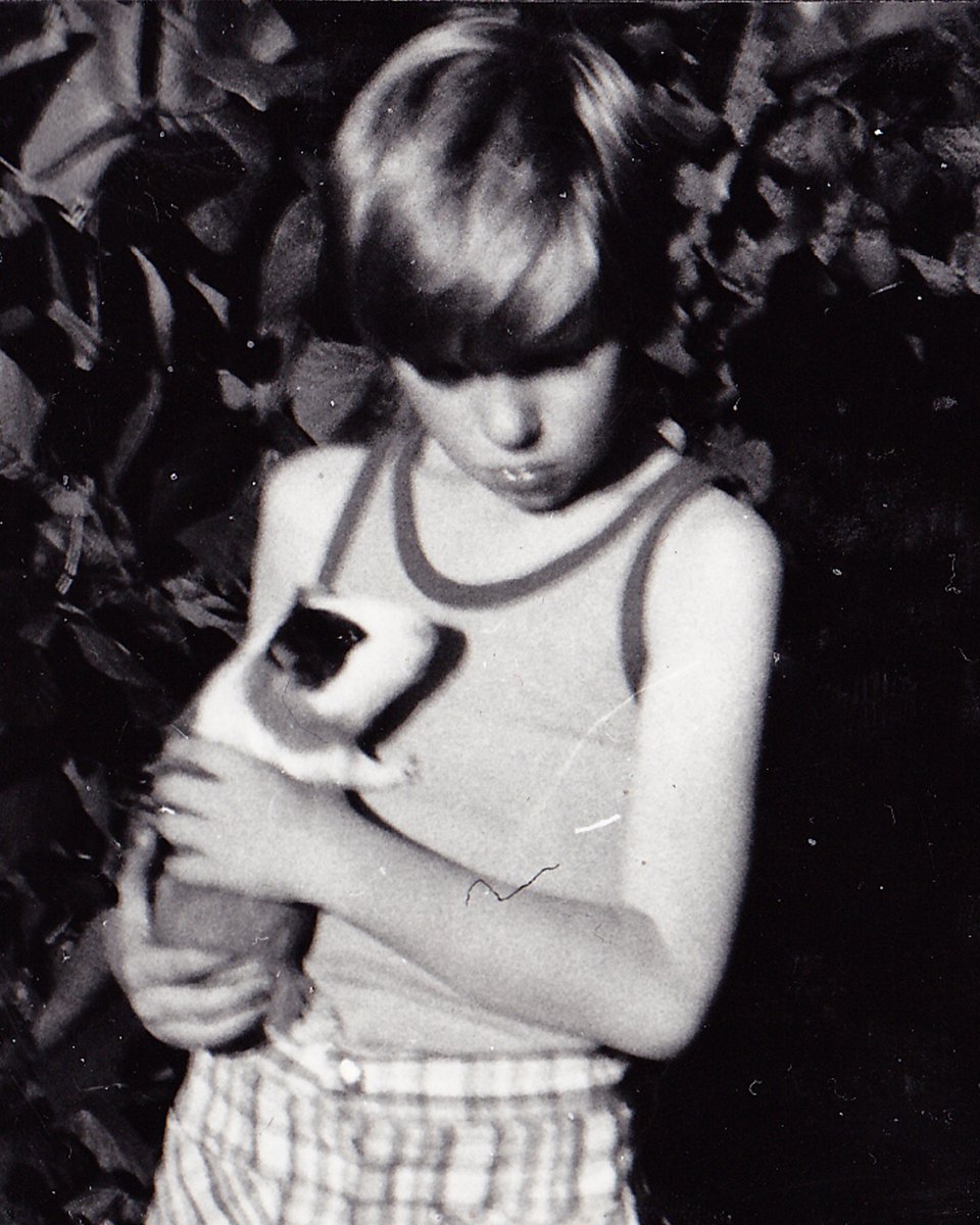 The Midges tweet media