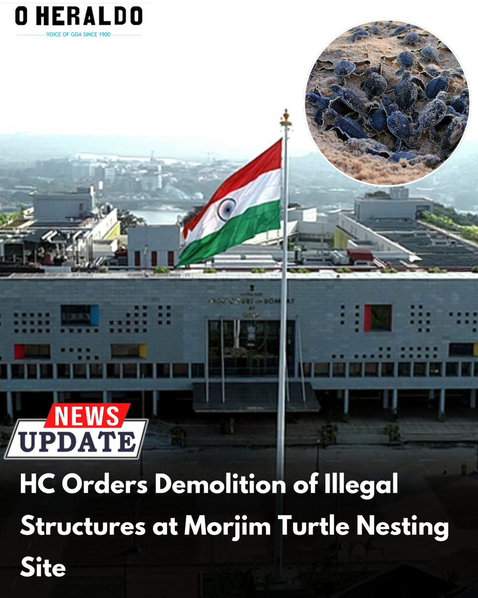 oheraldogoa's tweet image. The HC has ordered demolition of 56 illegal structures near #Morjimbeach’s turtle nesting site within 10 days. Authorities must restore the land to its original condition, ensuring protection of the endangered #OliveRidleyturtles &amp;amp; enforcing strict environmental governance. #Goa
