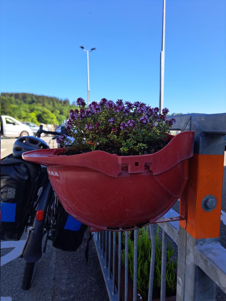 CARLESRIUS's tweet photo. #Testos
#vacances https://t.co/r89Z7VjZP0