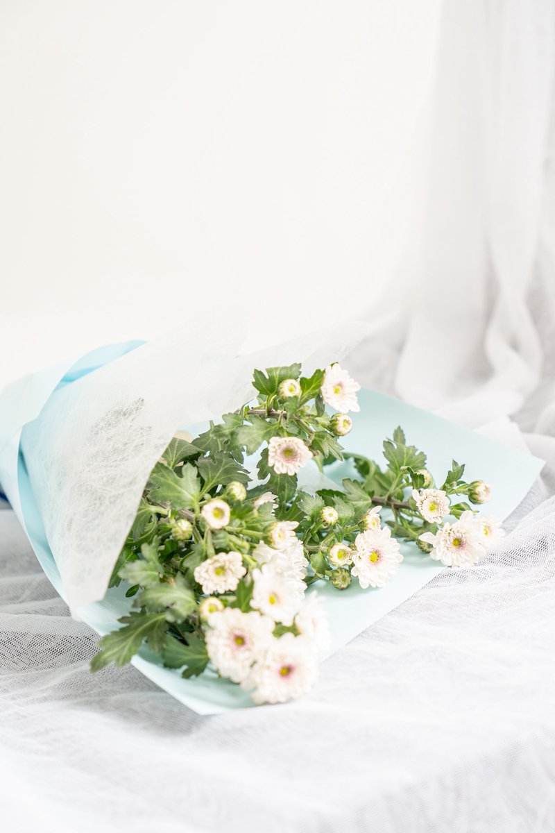 나도 꽃 찍었다
오다 주운 꽃