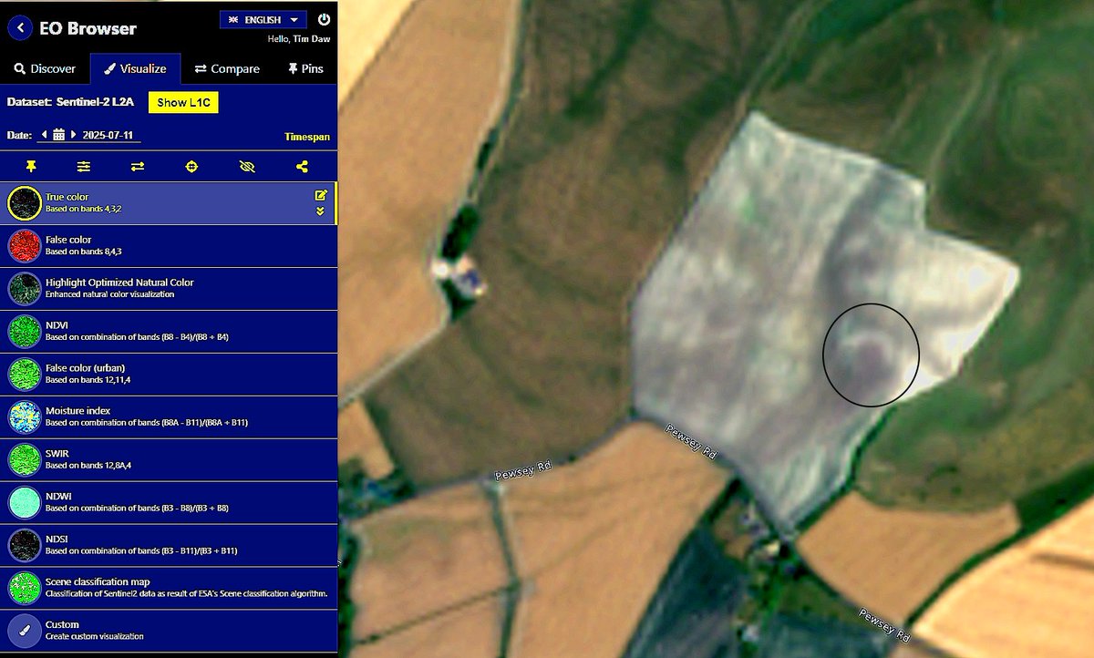 TimothyDaw's tweet image. Great weather for parchmarks. Here's All Cannings Cross midden yesterday.