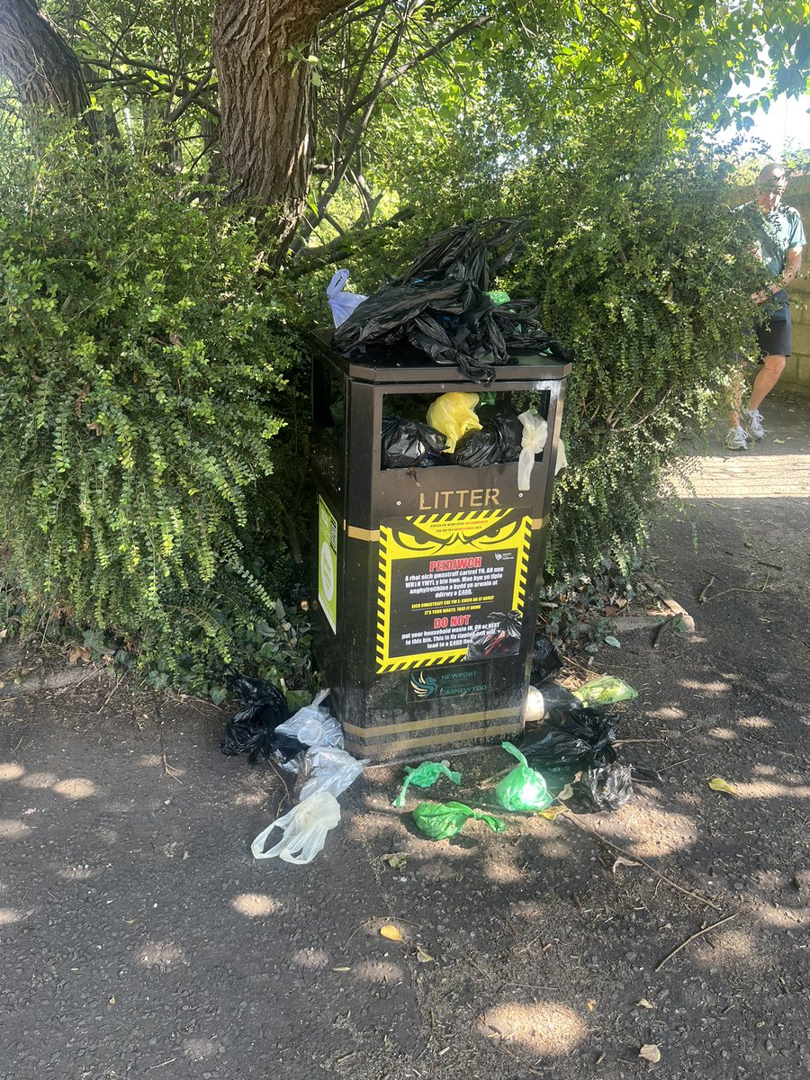 Alison Martin tweet media