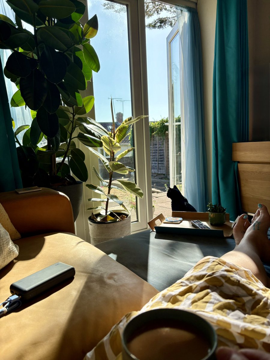 Tea, sun, cat, peace 💛