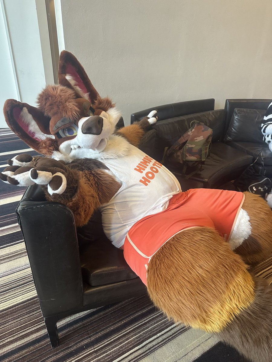 <a href="/VincentOblivion/">VincentZX🔜Megaplex</a> <a href="/WildDogWorks/">WildDogWorks.com on 🦋</a> Sure kiddo. Let big papa Bruno hold your lil paw and take you on. But if you lose you keep me company tonight. And if I lose. You can collar me for a week. Deal~