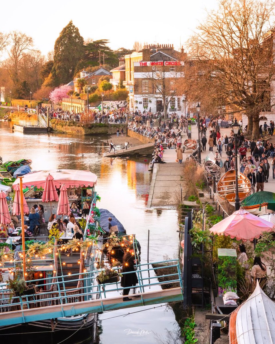 This and the weekend 🍻

📍 @whitecrosspub

#YoungsPubs #RichmondPub #London