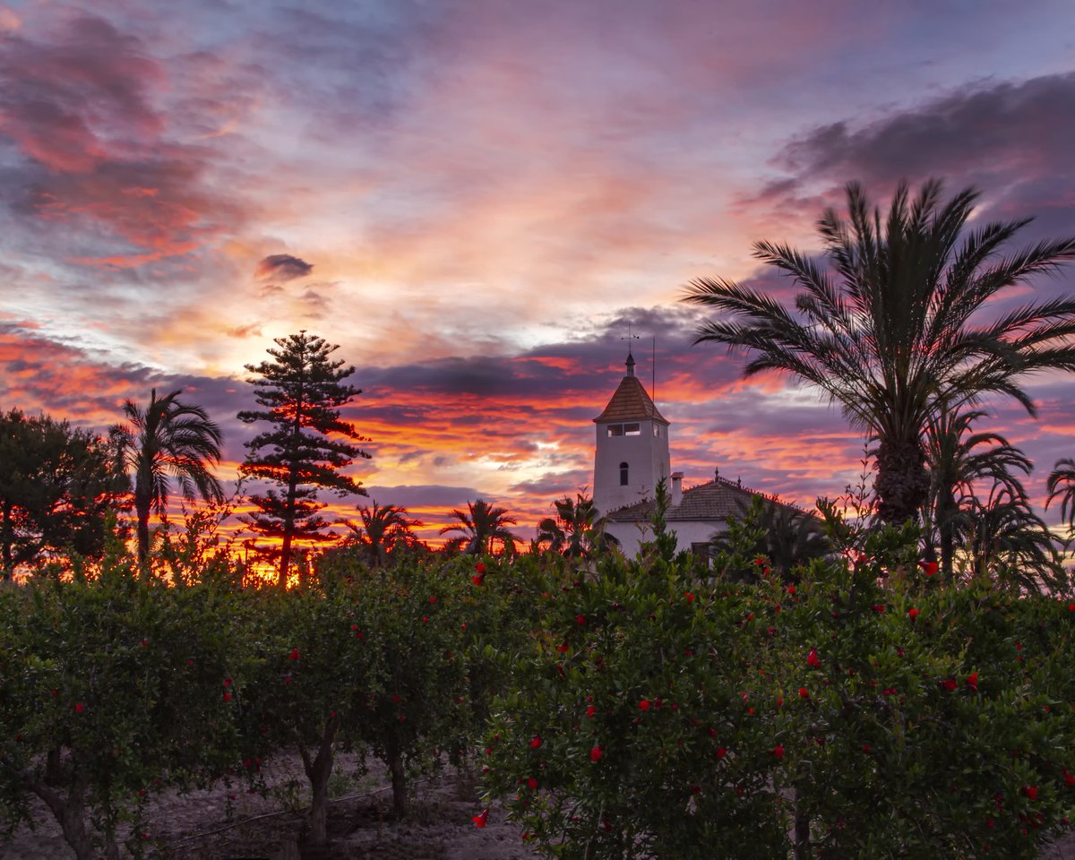 𝙁𝙞𝙣𝙖𝙡𝙞𝙨𝙩𝙚𝙨 del 📷 ℂ𝕠𝕟𝕔𝕦𝕣𝕤 𝕗𝕠𝕥𝕠𝕘𝕣à𝕗𝕚𝕔 '𝔼𝕝 ℂ𝕒𝕞𝕡 𝕕’𝔼𝕝𝕩' 
🗝️ Cases senyorials del Camp d'Elx 🌴📸

9️⃣ L'Hasiendesica - Asprella - José Ramón Gadea López 

🎉 𝗘𝗻𝗵𝗼𝗿𝗮𝗯𝗼𝗻𝗮 👏🏻

#campdelx #concursfotografic #Elx #Elche