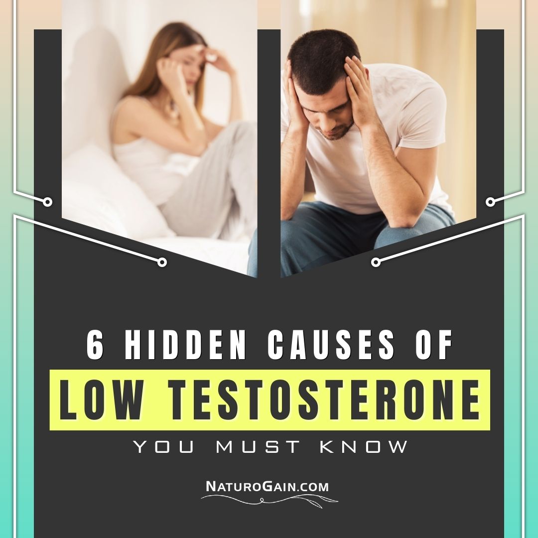 nfcure's tweet image. Dive into details! ✨🌿 youtu.be/QfoYNiFgLiM

Is It Possible to Increase Low Testosterone to High Naturally?

Musli Kaunch Shakti capsules offer a trusted herbal way to support your body's strength and male vitality.

#lowtestosterone #boosttestosterone