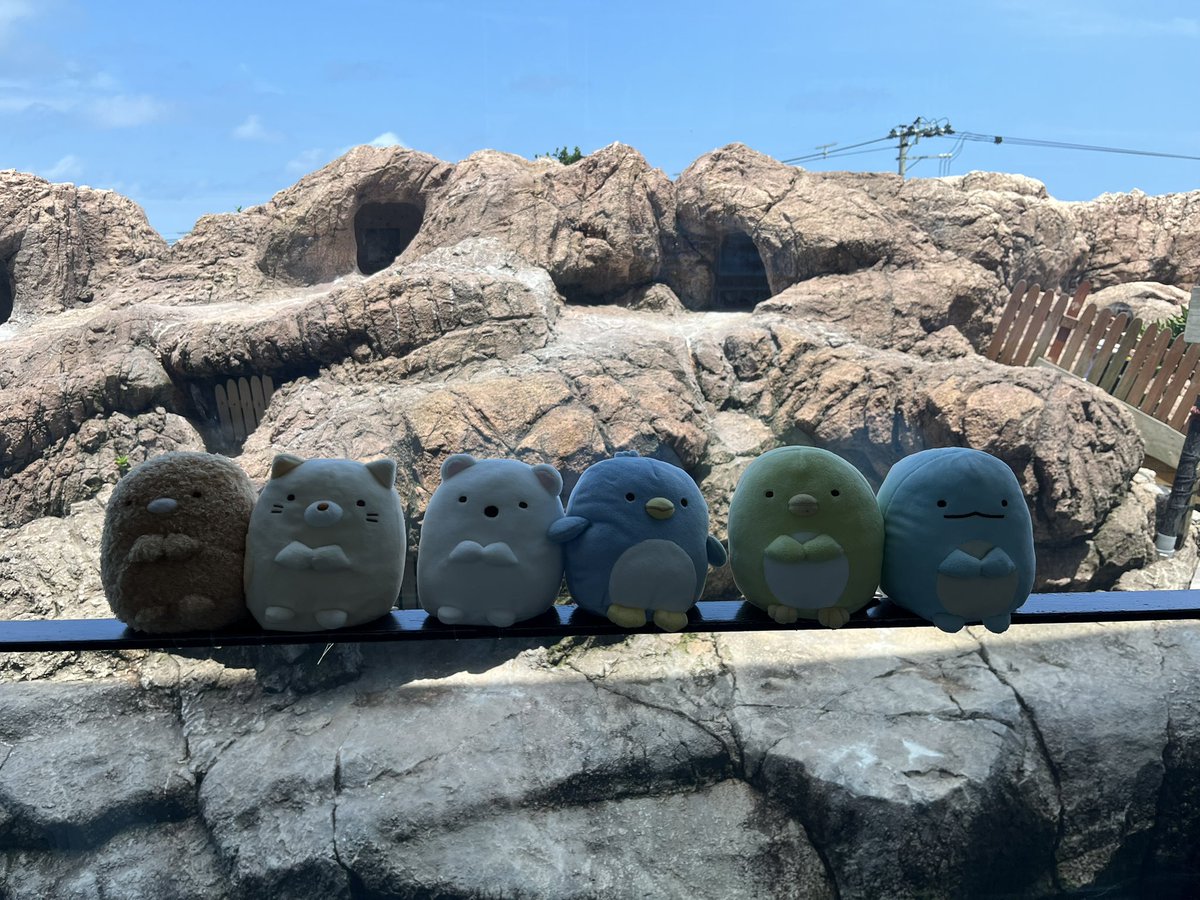 hana_922's tweet image. 今年も行ってきた🐬🫧
すみっコいっぱいいて可愛かった🩵