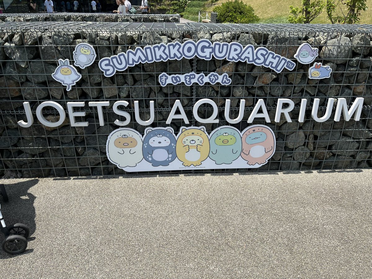 hana_922's tweet image. 今年も行ってきた🐬🫧
すみっコいっぱいいて可愛かった🩵