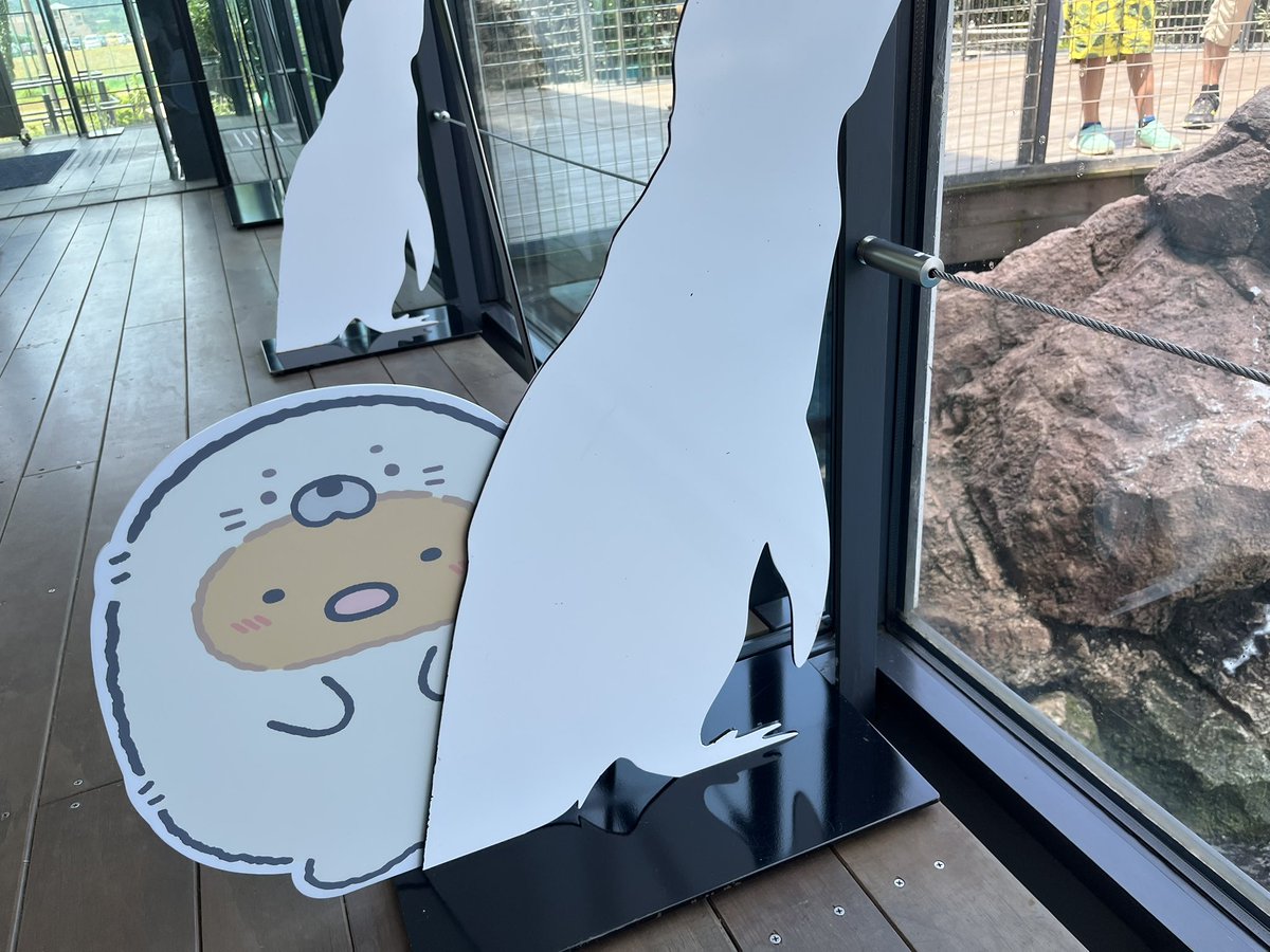 hana_922's tweet image. 今年も行ってきた🐬🫧
すみっコいっぱいいて可愛かった🩵