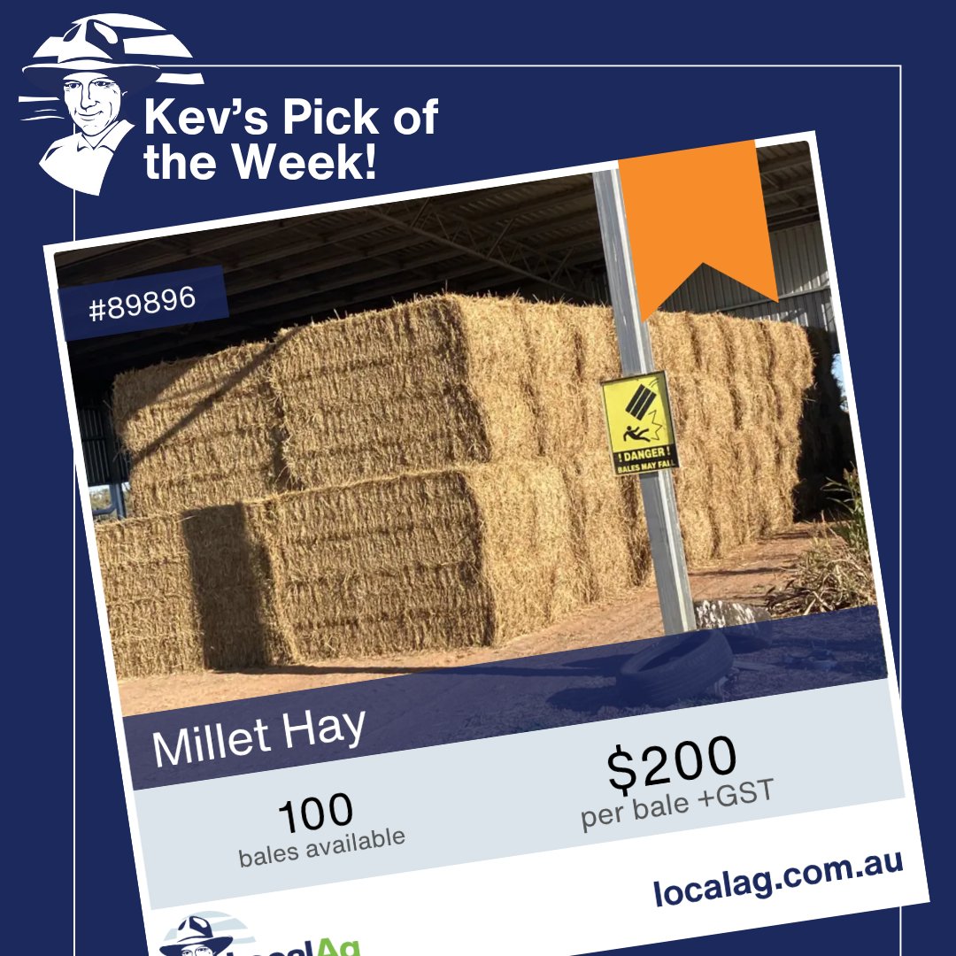 📦 Kev’s Pick of the Week
Millet Hay available now in St George, QLD.

✅ 100 bales available
✅ Shed stored
✅ $200 per bale + GST

Listing #89896 – View it on LocalAg: localag.com.au/buy/hay-and-fo…