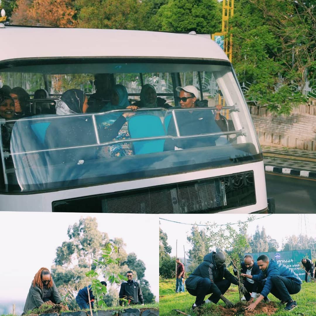 በመትከል ማንሰራራት !
ዛሬ ጠዋት ከምክር ቤት አባላት ጋር  በእንጦጦ ተራራ ላይ ችግኝ ተክለናል።
ፈጣሪ ኢትዮጵያን እና ህዝቦቿን ይባርክ

Dhaabuun Bayyanachuu! 
Har'a ganama miseensota mana maree waliin gaara Inxooxxoo gubbatti biqiltuu dhaabneerra. 
Waaqni