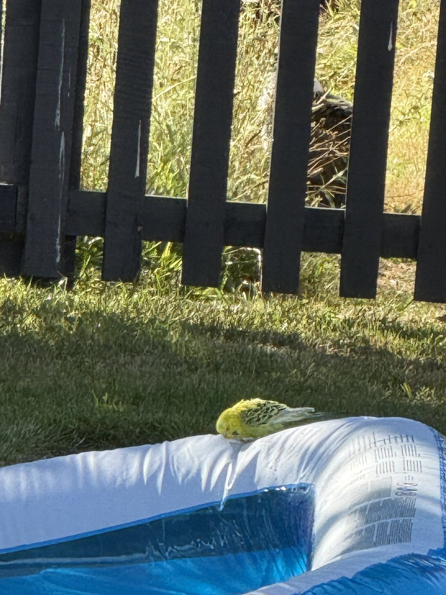 I know it’s warm, but this is becoming ridiculous.