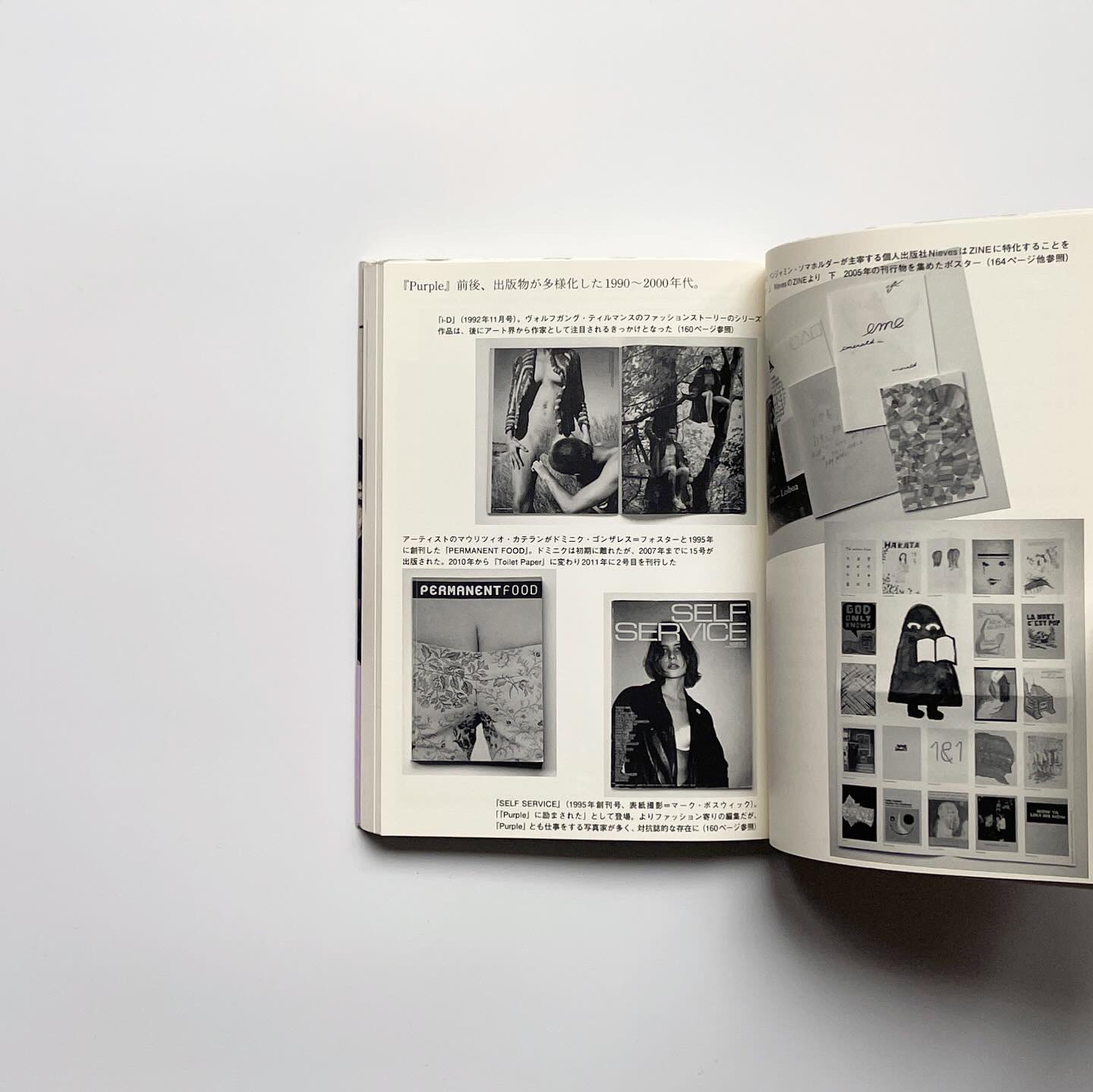 拡張するファッション : アート、ガーリー、D.I.Y.、ZINE… 林 央子 Amazon.co.jp: 拡張するファッション アート、ガーリー、D.I.Y.