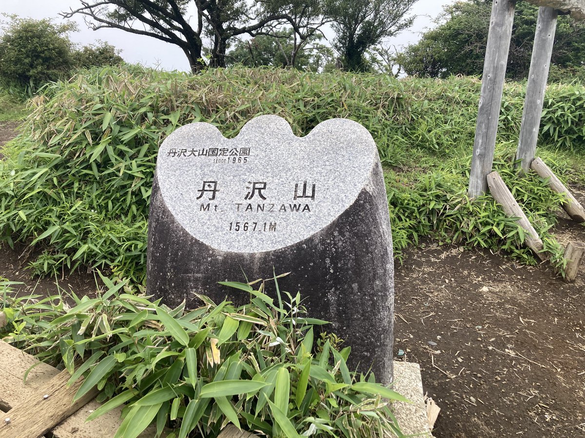 nerenainen's tweet image. 丹沢登山
初めて塔の岳通り過ぎて丹沢山まで行ってきた
往復19キロはさすがにハード
よくがんばった⛰️