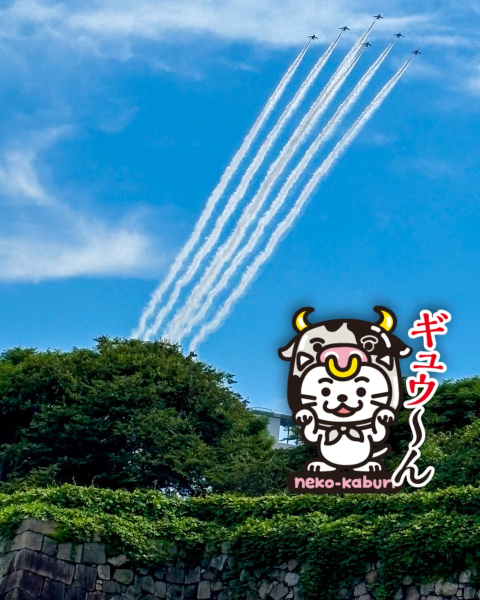 ねこかぶり〜neko-kaburi〜 tweet media