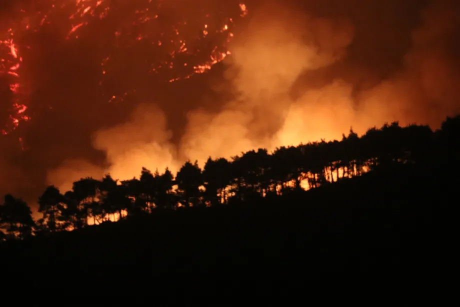 thebaharngo's tweet image. The fires currently raging in the countryside of #Latakia are among the most severe during this wave of #wildfires, returning unfortunately with even greater force. They are devouring the #vegetation cover, choking the air with smoke, and threatening green spaces. #Firefighting…