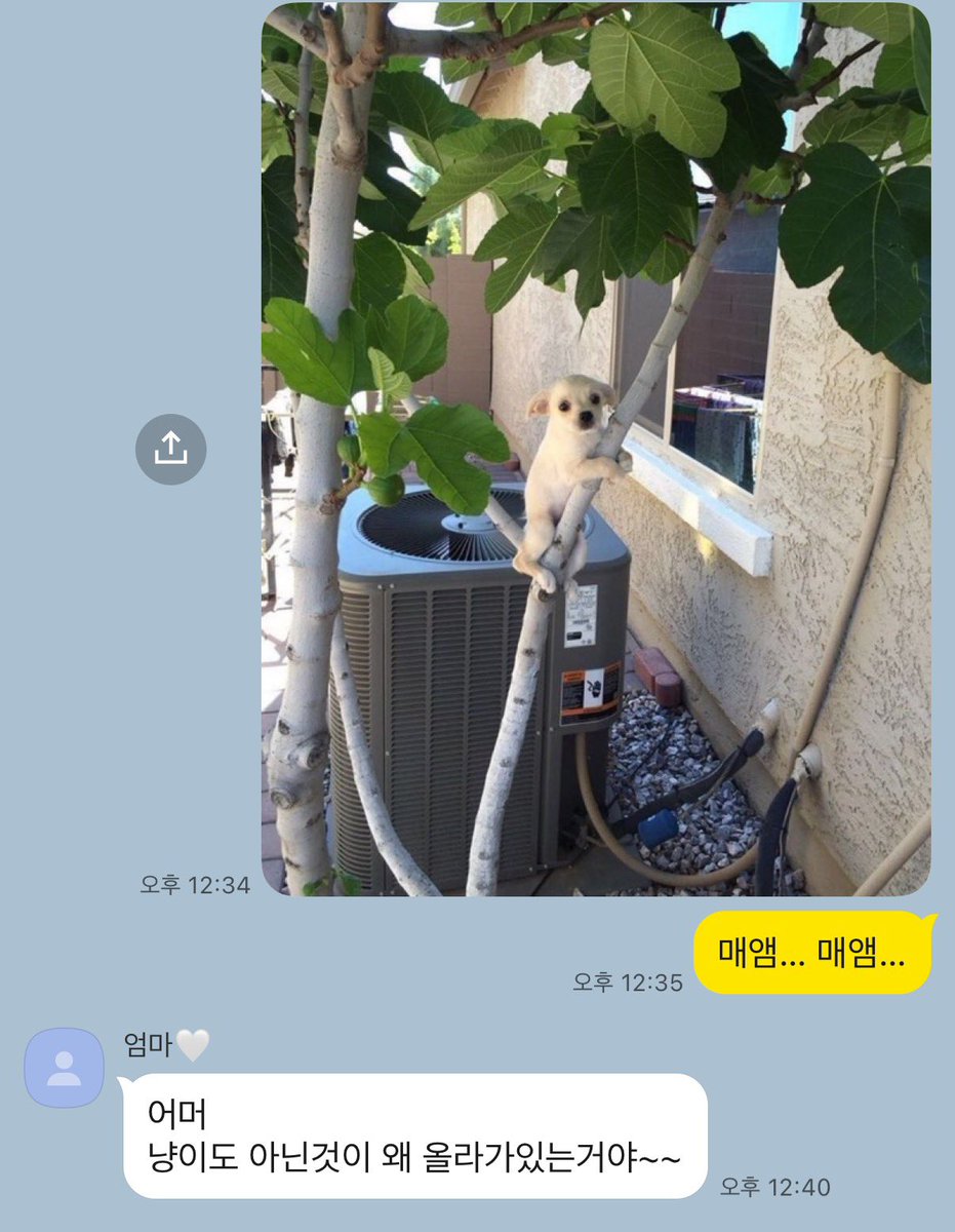 N0TMYNAM2's tweet photo. 엄마개기엽댜..💕💕 https://t.co/j0d7H8MXLO
