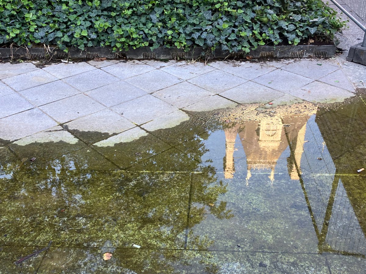 Miroir d'eau d'arrosage, sur sol déformé de forêt urbaine. 

(Attention, le fond est déjà couvert d'une pellicule d'algues vertes, ça glisse.)