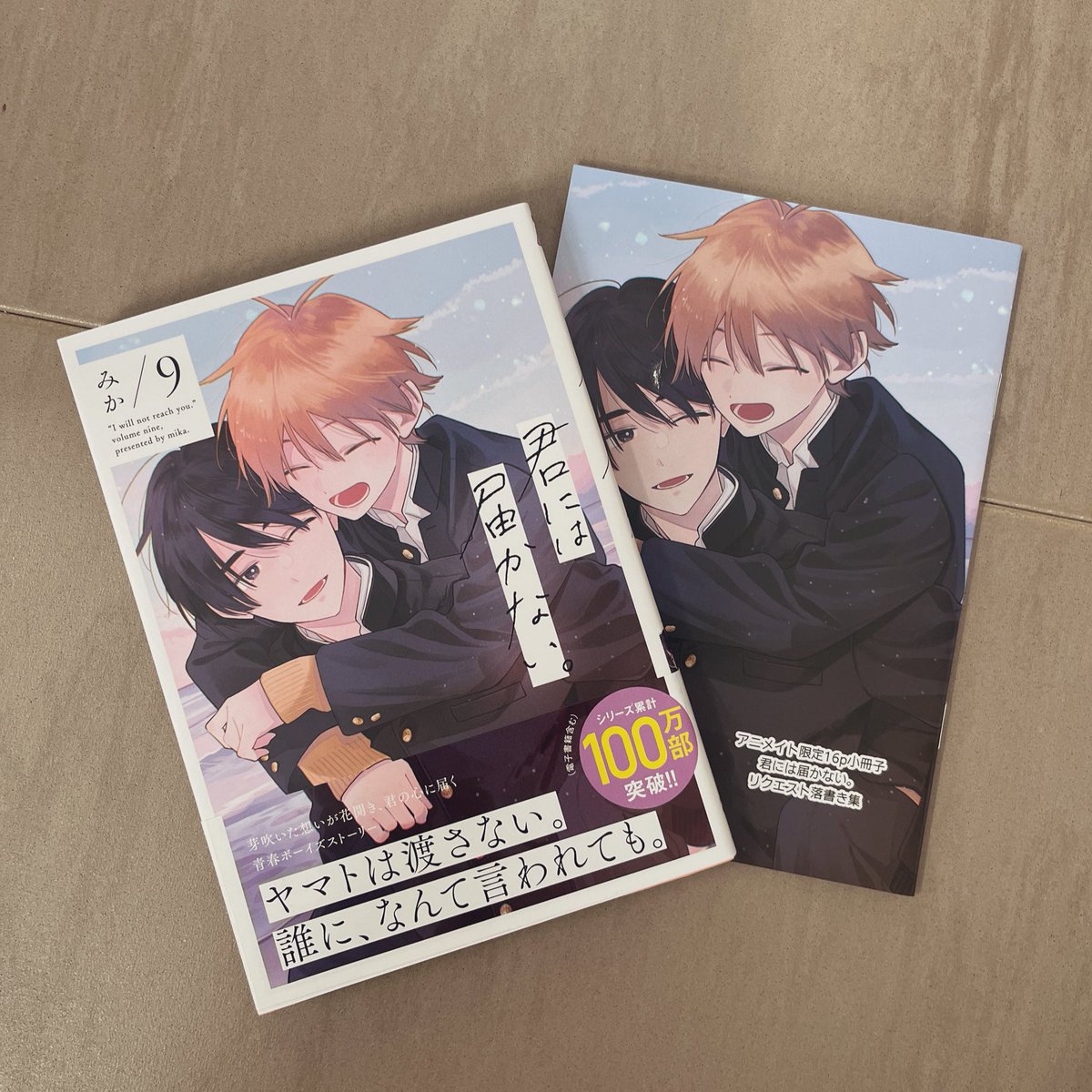 グッズ: 君には届かない。 みか描き下ろしキャンバスアート