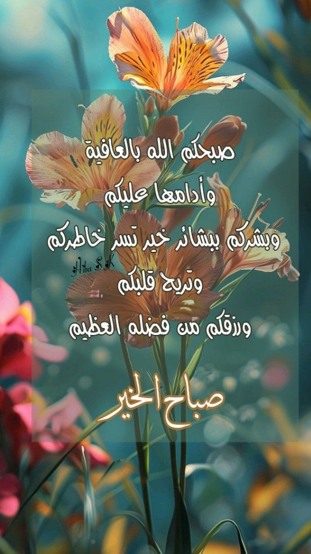 juhaalhakim (@juhaalhakim1) on Twitter photo 