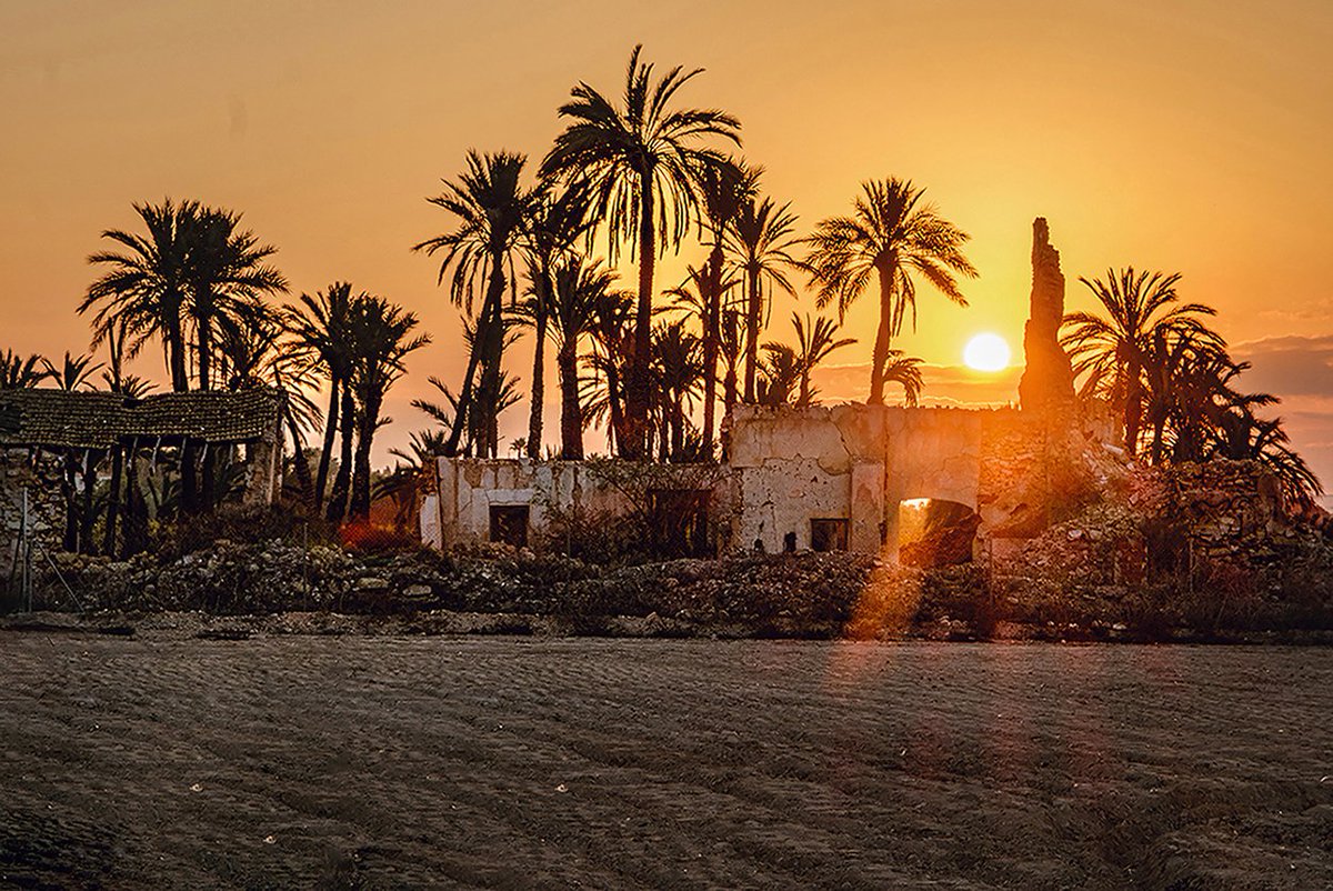 🏆 𝙂𝙪𝙖𝙣𝙮𝙖𝙙𝙤𝙧𝙨 del 📷 ℂ𝕠𝕟𝕔𝕦𝕣𝕤 𝕗𝕠𝕥𝕠𝕘𝕣à𝕗𝕚𝕔 '𝔼𝕝 ℂ𝕒𝕞𝕡 𝕕’𝔼𝕝𝕩' 
🗝️ Cases senyorial del Camp d'Elx 🏰 🌴📸

🥇Torre Estanya - Atzavares Alt - Josep Antoni Aldeguer Fenoll

🎉 𝗘𝗻𝗵𝗼𝗿𝗮𝗯𝗼𝗻𝗮 👏🏻👏🏻

#campdelx
#elx #elche
 #concursdefotografia