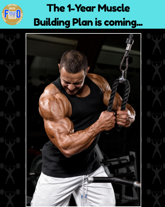 Fit_Optician's tweet photo. Split by muscle group. Power-focused. Recovery built-in.
 It's designed for **serious gains** at home or in the gym.
 Weekly progression
 Periodized intensity
 Zero fluff
 Who's ready to bulk the smart way?
#FitOneMusclePlan #LongTermFitness #BuildYourBestBody #FitOneApp https://t.co/ra4vITa83Q