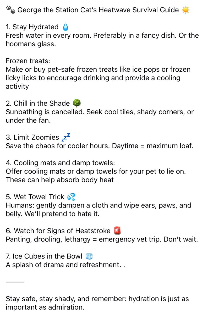 Stay cool and safe all