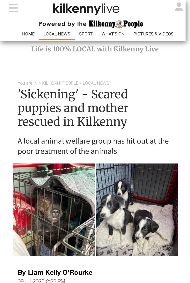 MyLovelyHorseR's tweet image. This is why we ask that you sign our petition…ENOUGH IS ENOUGH 🤬🤬🤬
Please sign: chng.it/xs4FFkbxt9
kilkennypeople.ie/news/local-new…