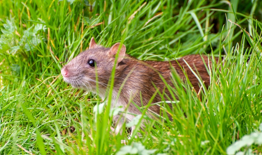 go_sofiatab's tweet image. #openseatouchgrass