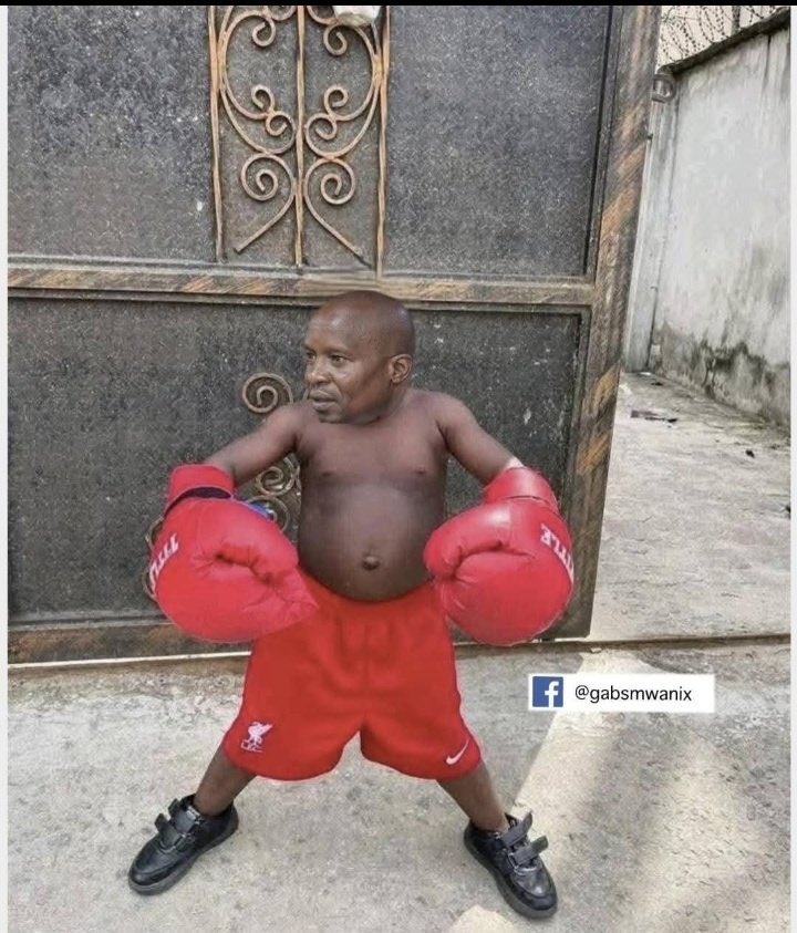 Mimi noma si noma! Mimi faya si faya