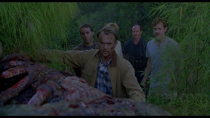 'Jurassic Park III' (2001)

A pesar del planteamiento patillero, genial secuela a tope de encanto y fx prácticos. Los dinosaurios sacados del Cortylandia son una fantasía.
Se nota que es del director de 'Jumanji' y 'Cariño, He Encogido a los Niños'.

Para mí, esta cierra la saga.