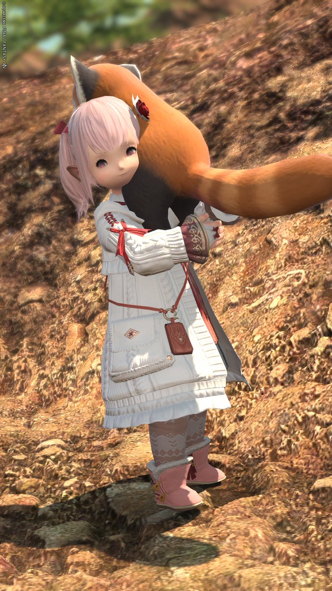 たぬきひろったよ🦝

#FF14 #FF14SS