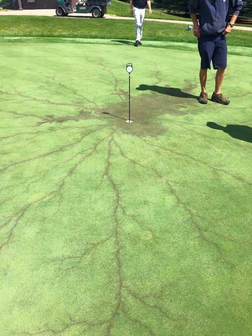 This is the effect of lightning hitting the cup and pin of a golf course. It happened 9 years ago Today in Des Moines, Iowa.
