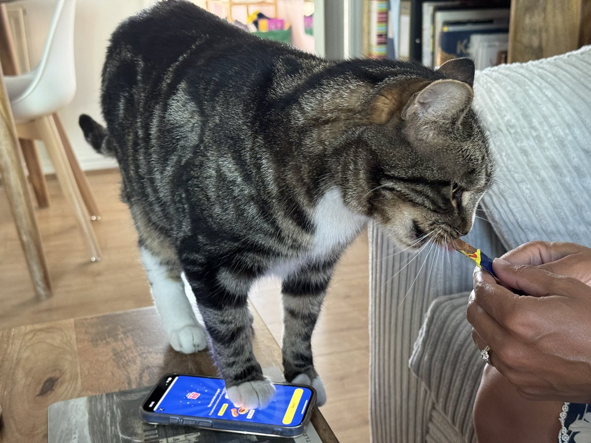 #Caturday multitasking

😸Caspar having a treat and ordering from Lidl at the same time