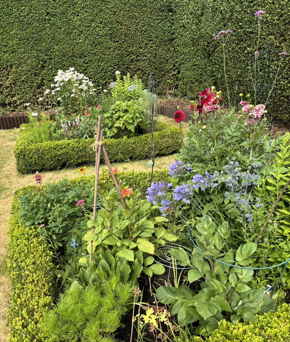 GinnyA24601's tweet image. I garden like I do most things…by instinct.
Plants survive and thrive with the best care I can offer, or they don’t.
Much like people in my life.
They get me and understand that I am different but magic, or they’re gone!