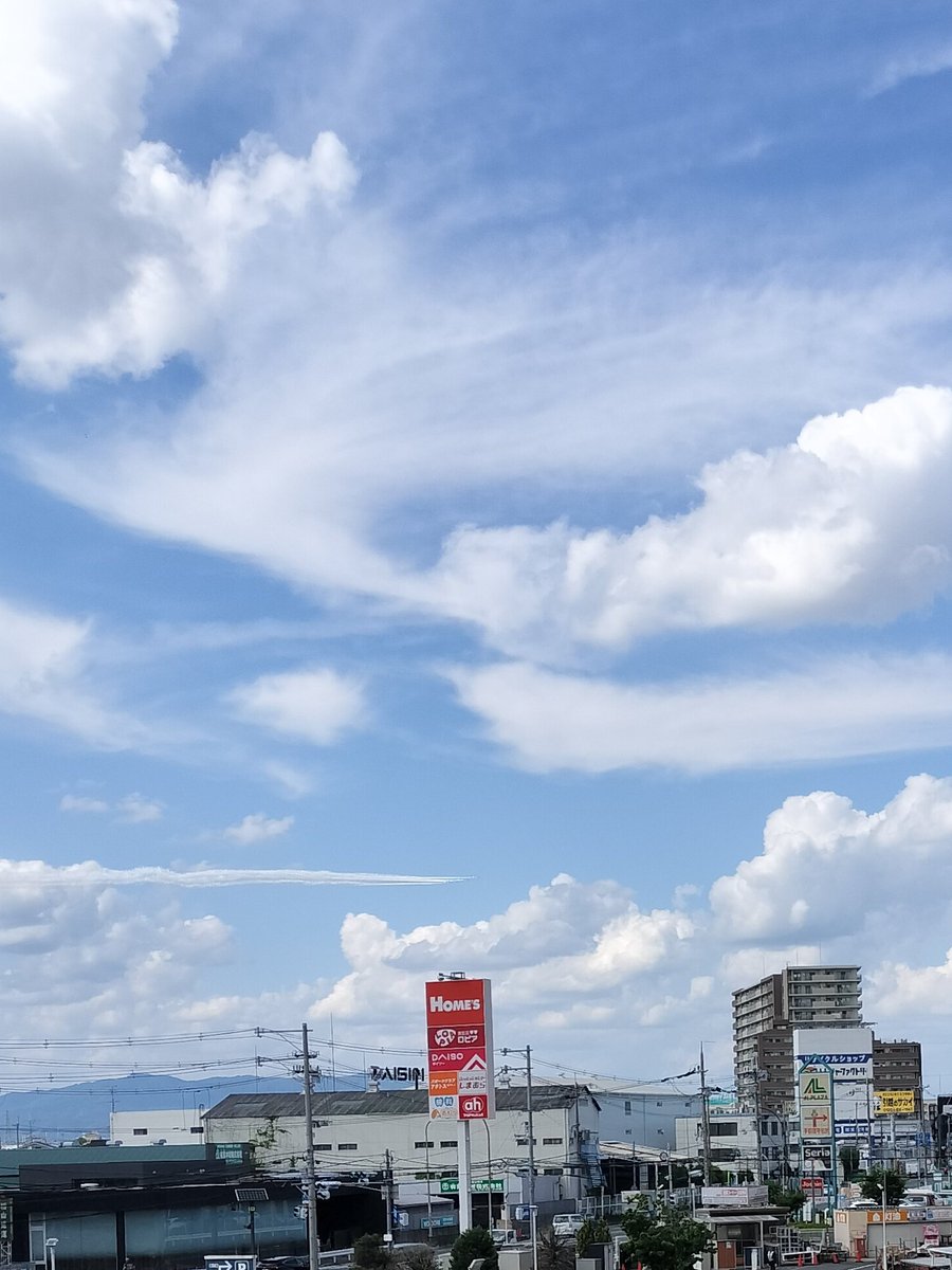 taronosukebe tweet picture