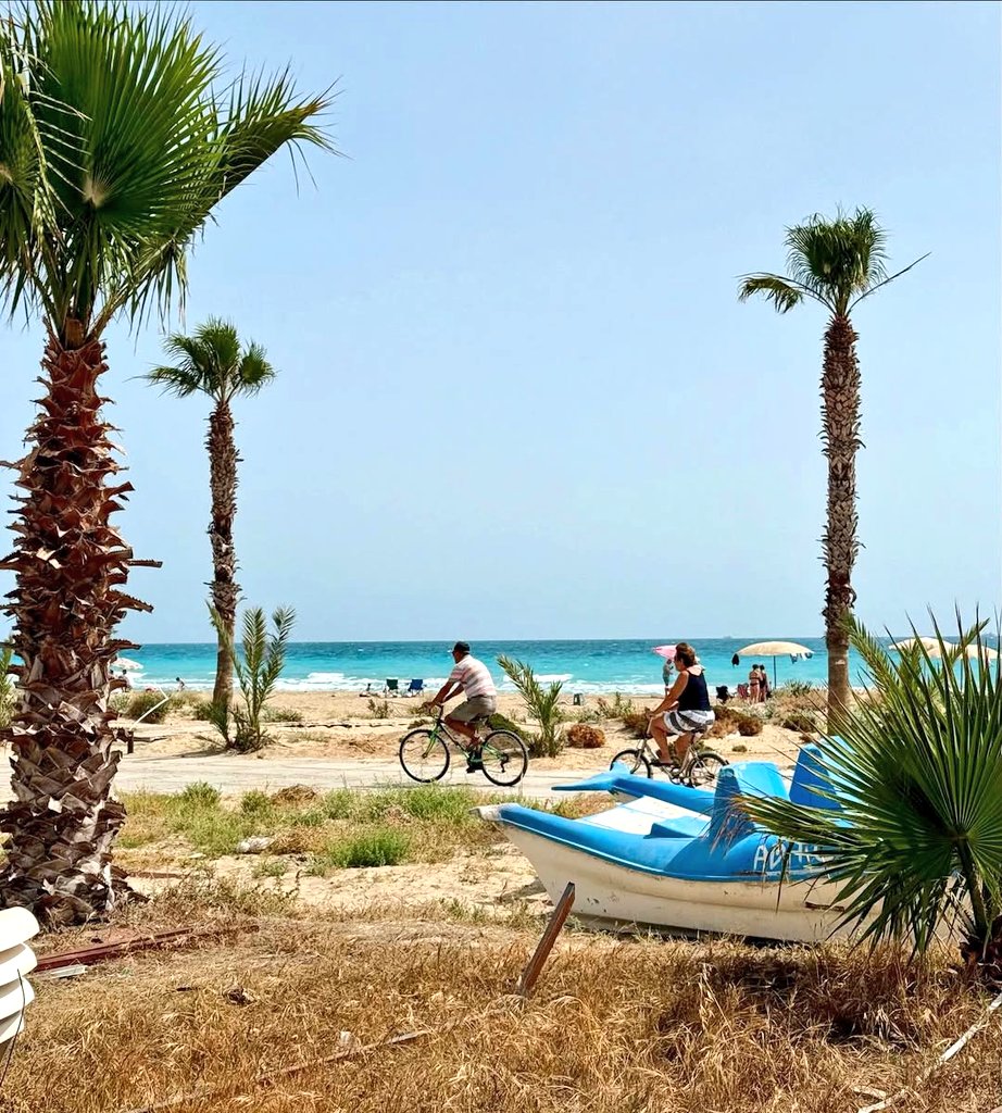 Özgür maviliklere pedallayan insanların şehri ! 🌊🌴🏖️🚲

#Mersin Taşucu / Kum Mahallesi