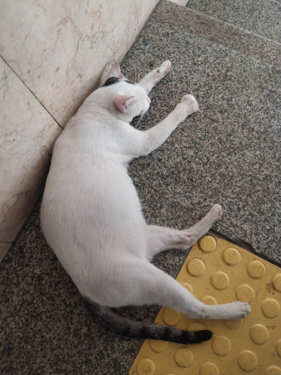 wujud asli penghuni st tanah abang