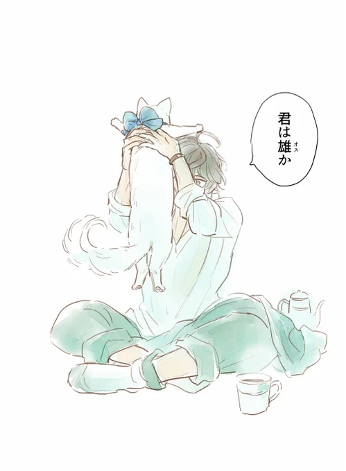某表紙妄想(ルシサンルシ)
白猫ちゃんが某様だった場合にそうとは知らずやってほしいことがありすぎる 
