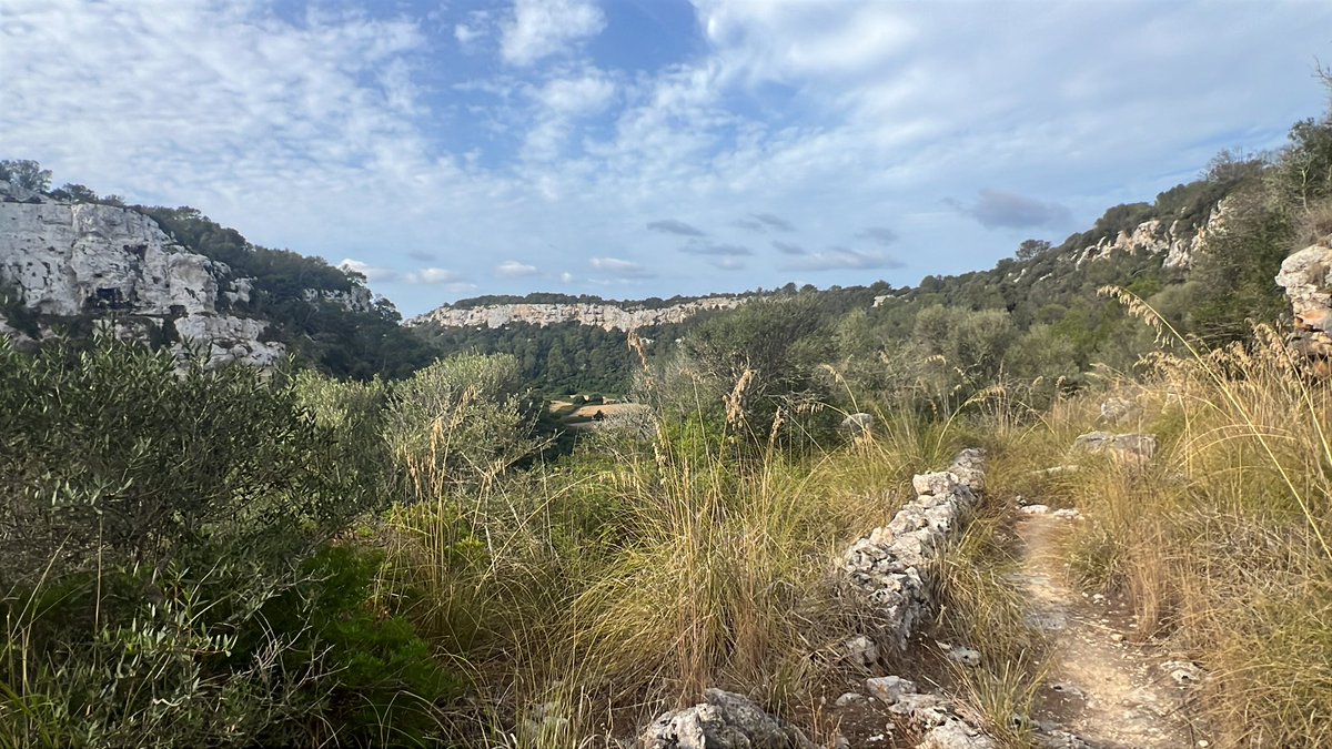 Camins de #esmigjorngran #Menorca