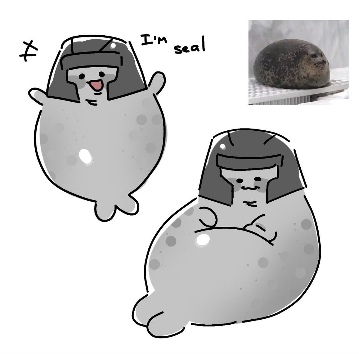 NOW HE IS A SEAL 🦭🎉