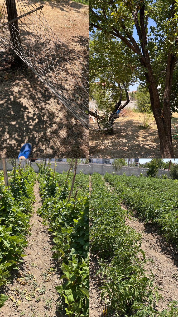 Summer is calling….